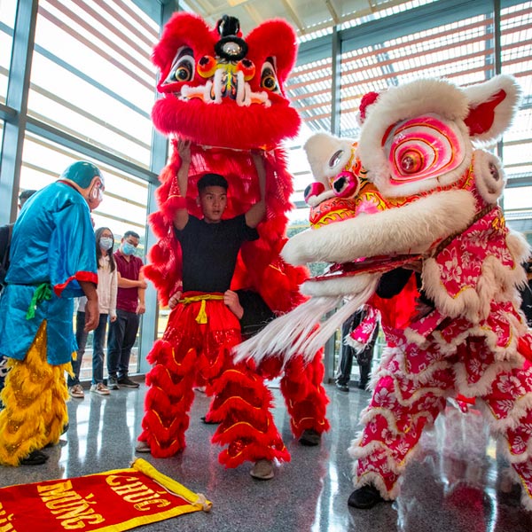 Chinese New Year Celebration